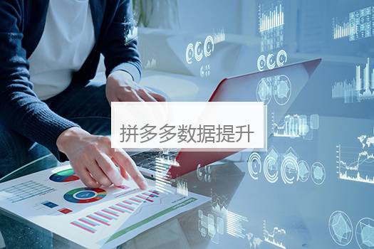 拼多多数据提升