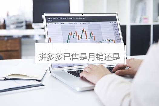 拼多多已售是月销还是总销售？拼多多总销售额怎么看