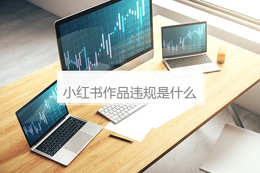 小红书作品违规是什么原因？小红书是干嘛的