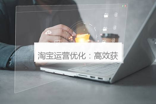 淘宝运营优化：高效获取自然搜索流量百万秘籍