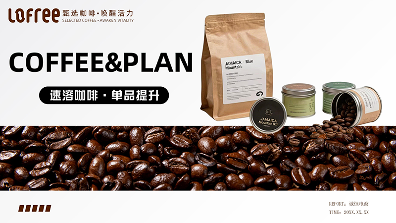 诚恒电商ppt模版展示4