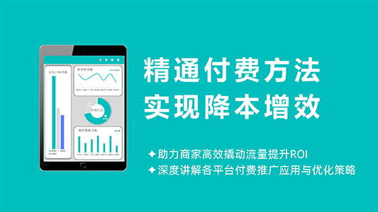 精通付费方法，降本增效