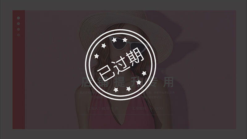 女士内衣天猫店铺提升PPT模板No.69