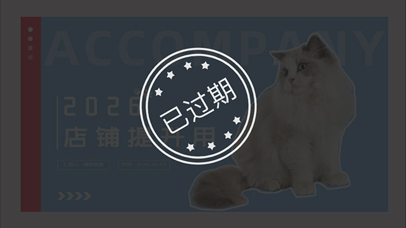 宠物猫天猫店铺提升PPT模板No.83