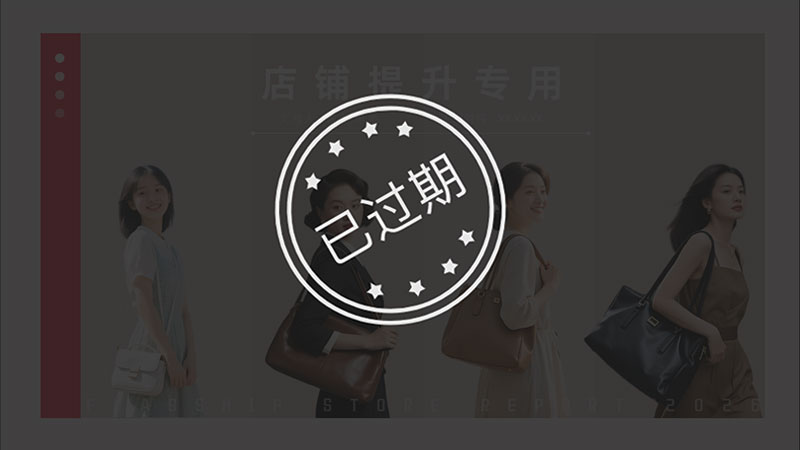 女包天猫店铺提升PPT模板No.70